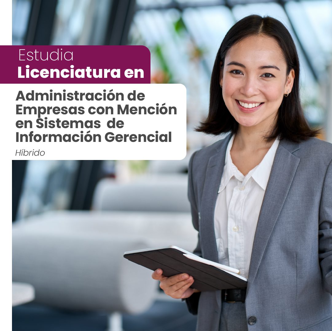 licenciatura adm informacion gerencial